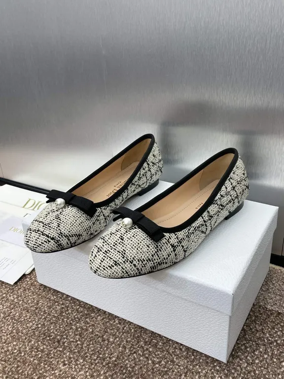 Dior Shoe 